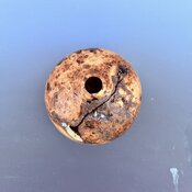 IMG_2309.jpeg