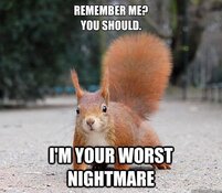IMG_1698.jpeg