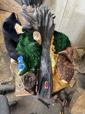 IMG_3202_Original.jpeg
