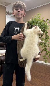 IMG_9229.jpeg
