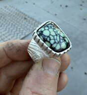 IMG_3509.jpeg