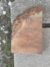 IMG_0969.jpeg