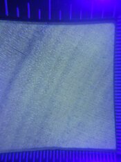 20260613_013901.jpg