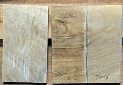 danish oil and tung on citrus.jpg