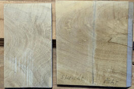 shellac and poly on citrus.jpg
