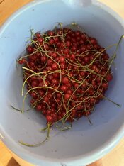 IMG_3748.jpeg