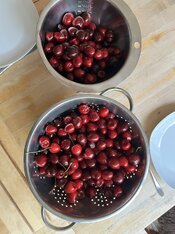 IMG_3746.jpeg