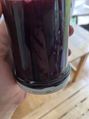 IMG_3750.jpeg