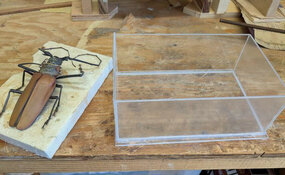 coconut beetle with acrylic mold.jpg