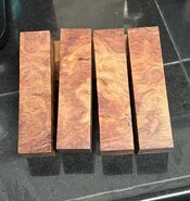 IMG_1130.jpeg