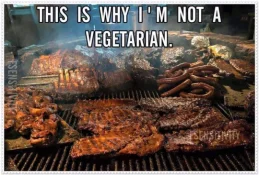 Why Not a Vegetarian.webp