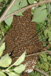 IMG_7862.JPG