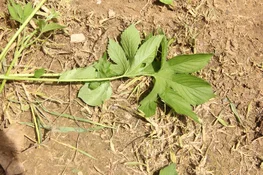 IMG_7873.webp