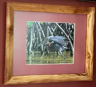 reddish egret.webp