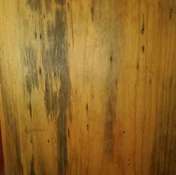 20260709_133134.webp