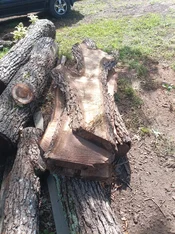 IMG_20260710_162510_759.webp