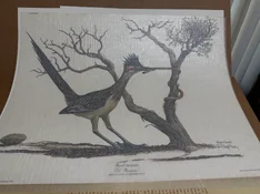 Roadrunner.webp