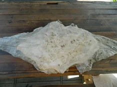 DSCN8426.webp