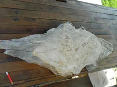 DSCN8427.webp