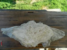 DSCN8429.webp