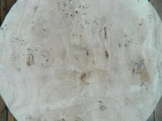DSCN8441.webp