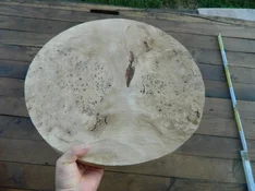DSCN8439.webp
