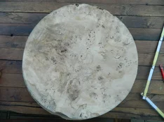 DSCN8447.webp
