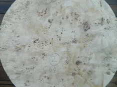 DSCN8446.webp