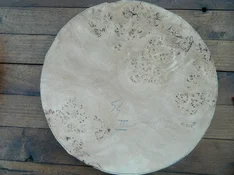 DSCN8450.webp