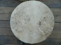 DSCN8451.webp