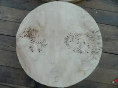 DSCN8452.webp