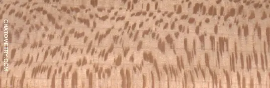 test_01380gif.webp