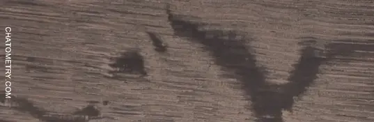 test_01573gif.webp