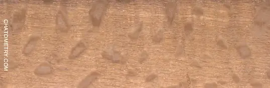 test_05698gif.webp