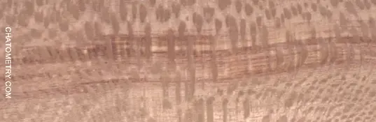 test_07293gif.webp