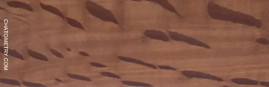 test_07540gif.webp