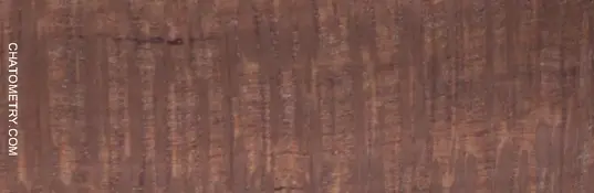 test_07309gif.webp