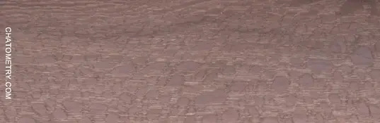 test_07351gif.webp