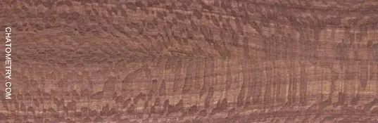 test_07830gif.webp