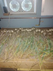 IMG_20260727_061610881.webp
