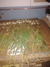 IMG_20260727_061600721.webp