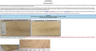 1785258309140.webp