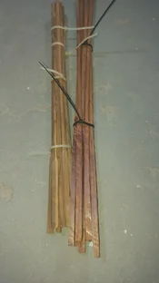 IMG-20260729-WA0036.webp