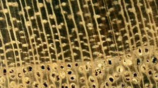 IMG-20260801-WA0001.webp