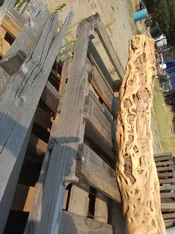 IMG_0103 - Copy (2).webp