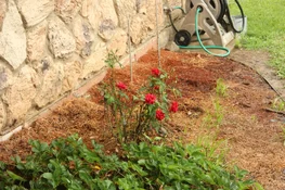 IMG_7995.webp