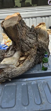 wood.webp