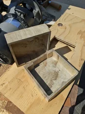 myrtle roughed out.webp
