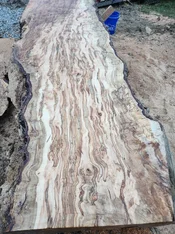 20221210_165237.webp