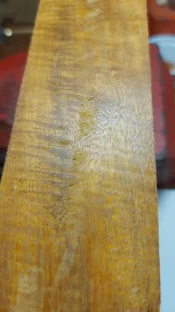 IMG-20260821-WA0060.webp